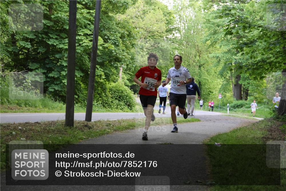 17.05.2025 - Störlauf Strokosch-Dieckow http://msf.ph/oto/7852176 17.05.2025 14:36:12 Laufen 1595, 1596 meine-sportfotos.de