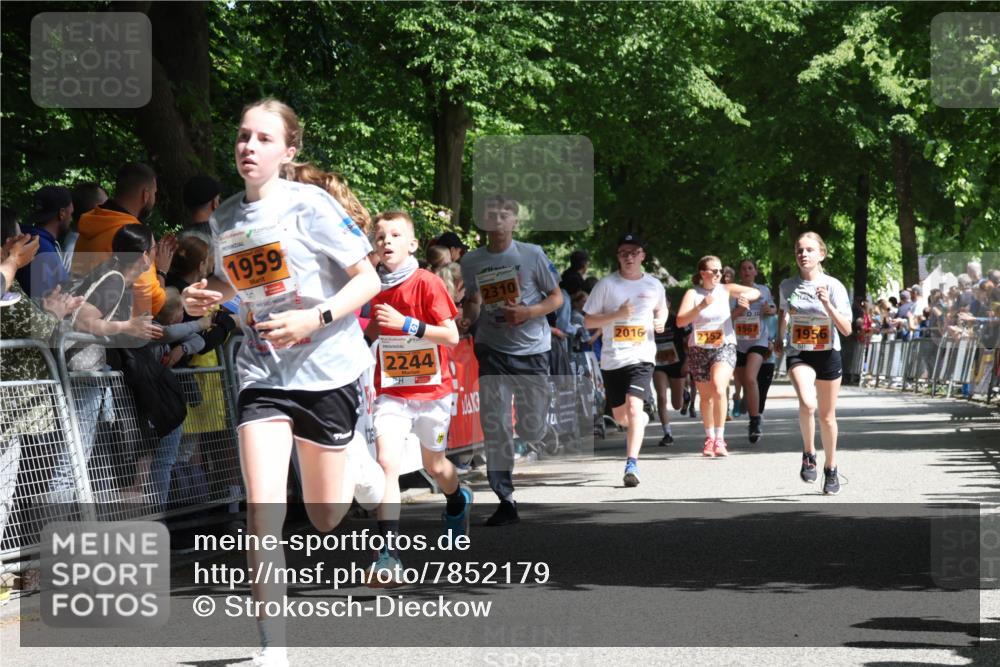 17.05.2025 - Störlauf Strokosch-Dieckow http://msf.ph/oto/7852179 17.05.2025 15:28:06 Ziel 1959, 2244, 2310, 2016, 1967, 195 meine-sportfotos.de
