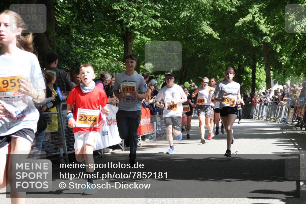 17.05.2025 - Störlauf Strokosch-Dieckow http://msf.ph/oto/7852181 17.05.2025 15:28:07 Ziel 2021, 959, 2244, 2310, 2016, 2289, 2152, 956 meine-sportfotos.de