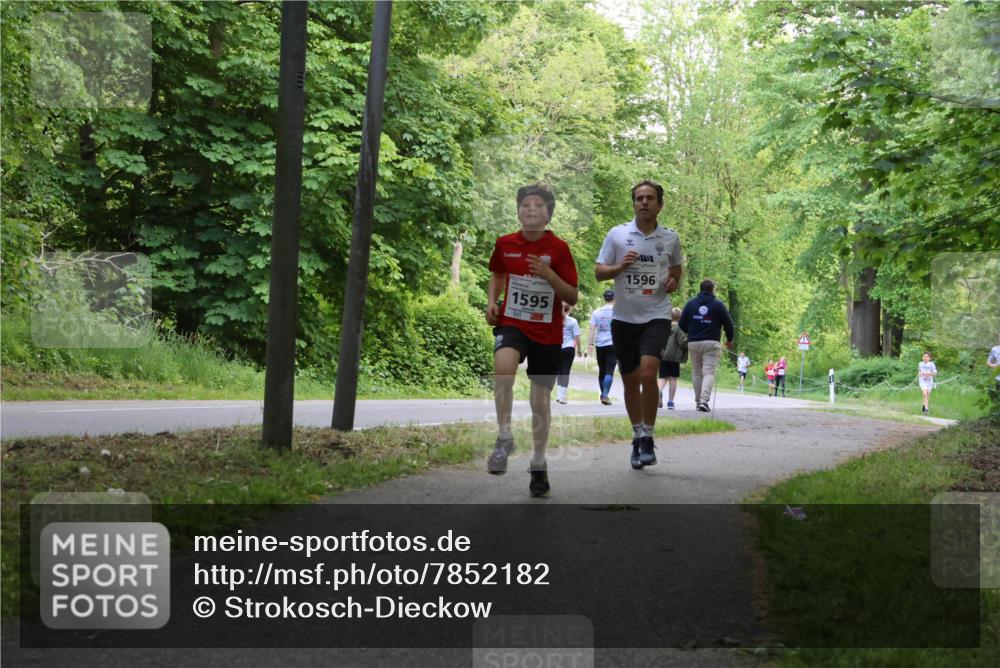 17.05.2025 - Störlauf Strokosch-Dieckow http://msf.ph/oto/7852182 17.05.2025 14:36:13 Laufen 1595, 1596 meine-sportfotos.de