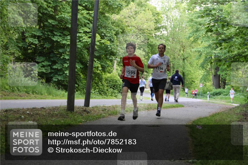 17.05.2025 - Störlauf Strokosch-Dieckow http://msf.ph/oto/7852183 17.05.2025 14:36:13 Laufen 1595, 1596 meine-sportfotos.de