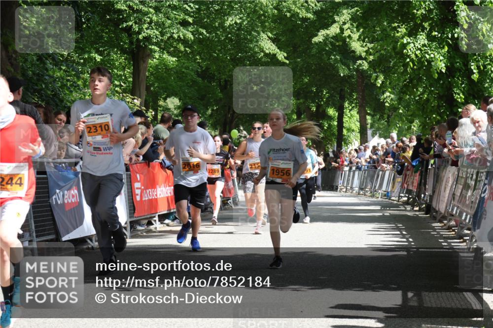 17.05.2025 - Störlauf Strokosch-Dieckow http://msf.ph/oto/7852184 17.05.2025 15:28:07 Ziel 244, 2310, 2016, 215, 2289, 1956 meine-sportfotos.de