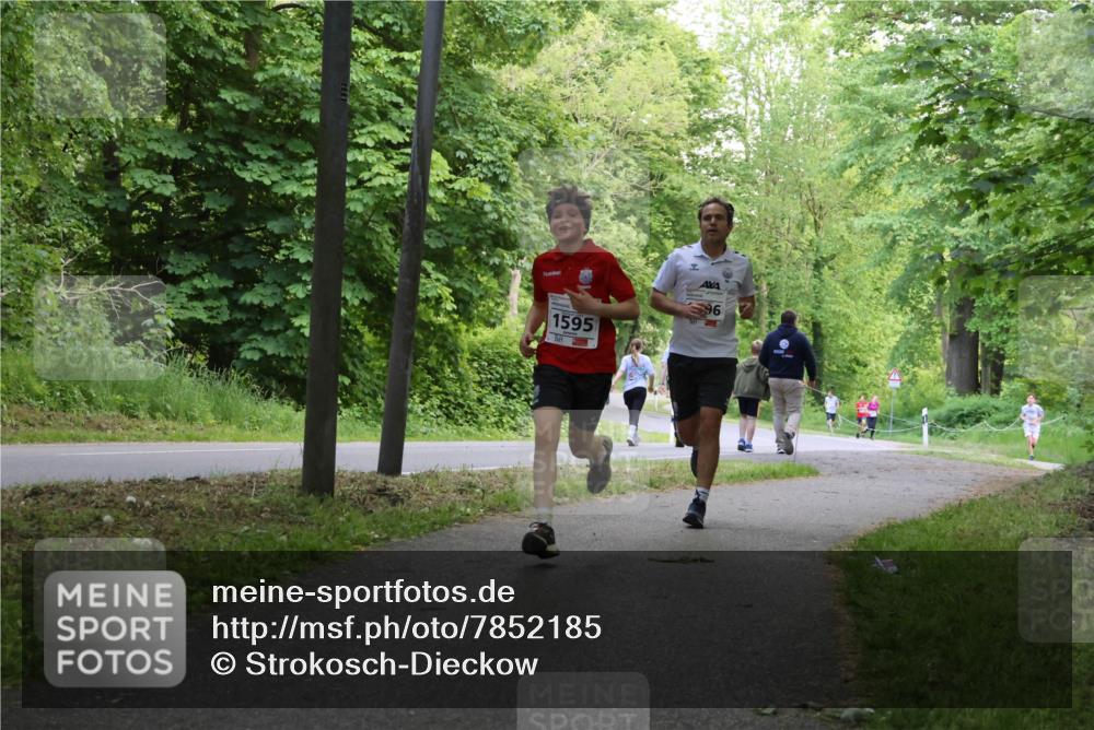17.05.2025 - Störlauf Strokosch-Dieckow http://msf.ph/oto/7852185 17.05.2025 14:36:13 Laufen 1595, 96 meine-sportfotos.de