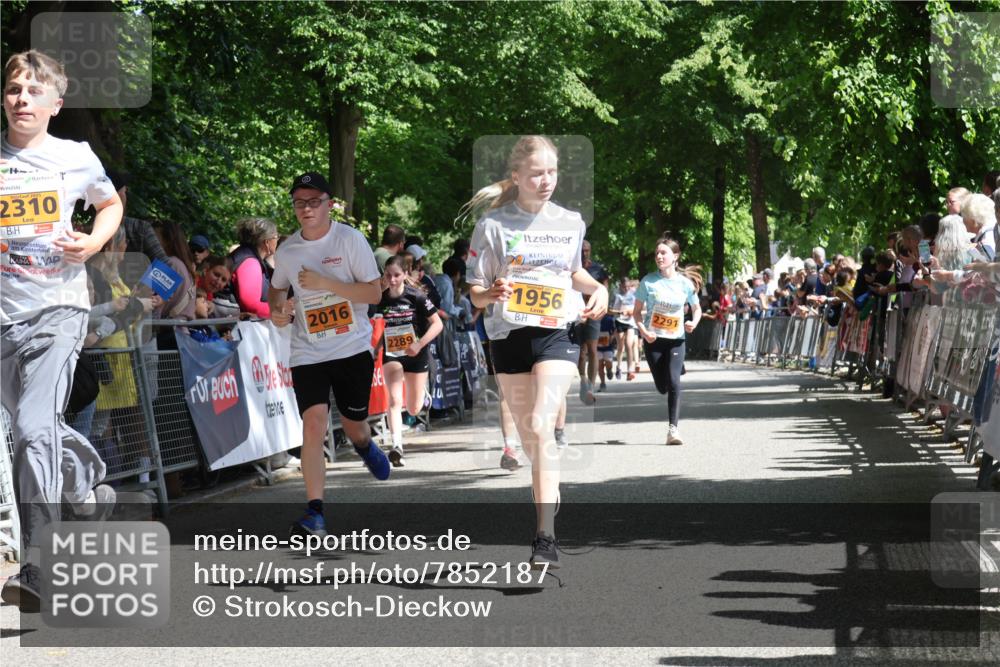 17.05.2025 - Störlauf Strokosch-Dieckow http://msf.ph/oto/7852187 17.05.2025 15:28:08 Ziel 2310, 2016, 2289, 1956, 2291 meine-sportfotos.de