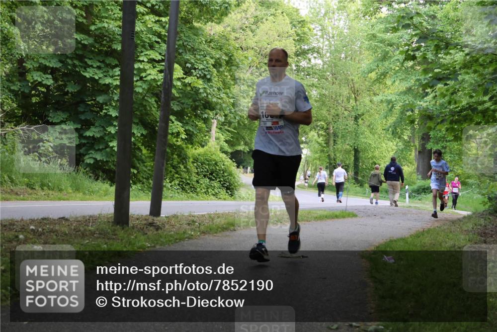 17.05.2025 - Störlauf Strokosch-Dieckow http://msf.ph/oto/7852190 17.05.2025 14:36:21 Laufen 109 meine-sportfotos.de