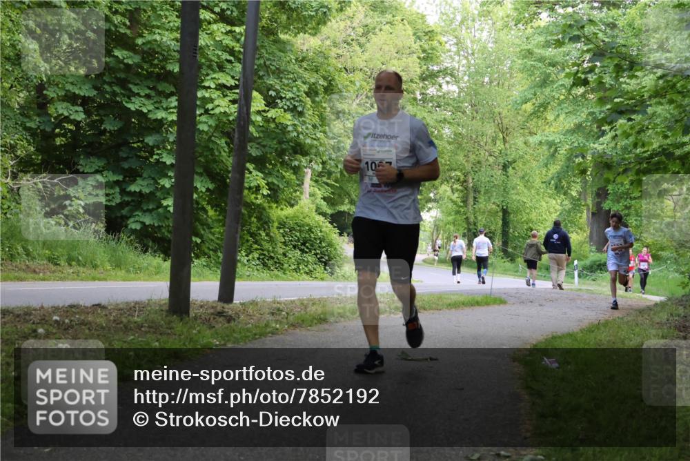 17.05.2025 - Störlauf Strokosch-Dieckow http://msf.ph/oto/7852192 17.05.2025 14:36:21 Laufen 10 meine-sportfotos.de