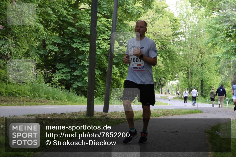 17.05.2025 - Störlauf Strokosch-Dieckow http://msf.ph/oto/7852200 17.05.2025 14:36:21 Laufen 1007 meine-sportfotos.de