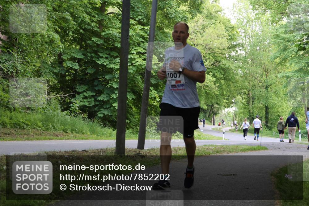 17.05.2025 - Störlauf Strokosch-Dieckow http://msf.ph/oto/7852202 17.05.2025 14:36:21 Laufen 1007 meine-sportfotos.de