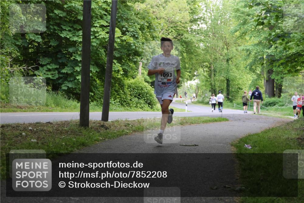 17.05.2025 - Störlauf Strokosch-Dieckow http://msf.ph/oto/7852208 17.05.2025 14:36:24 Laufen 1093 meine-sportfotos.de