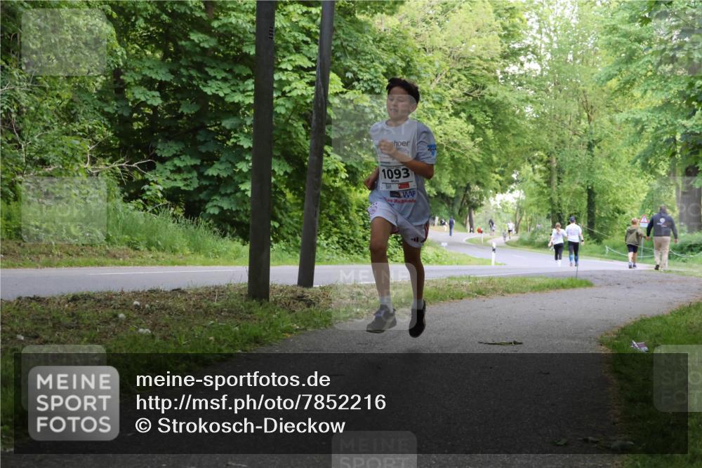 17.05.2025 - Störlauf Strokosch-Dieckow http://msf.ph/oto/7852216 17.05.2025 14:36:25 Laufen 1093 meine-sportfotos.de