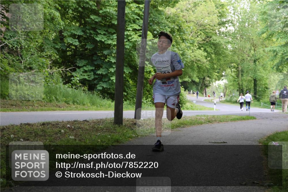 17.05.2025 - Störlauf Strokosch-Dieckow http://msf.ph/oto/7852220 17.05.2025 14:36:25 Laufen  meine-sportfotos.de