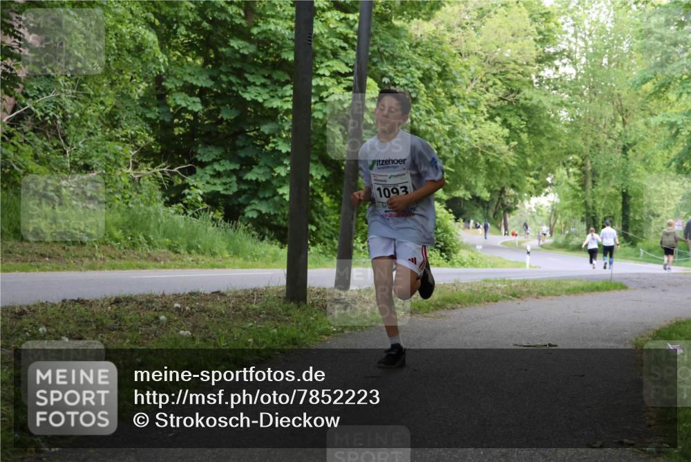 17.05.2025 - Störlauf Strokosch-Dieckow http://msf.ph/oto/7852223 17.05.2025 14:36:25 Laufen 1093 meine-sportfotos.de
