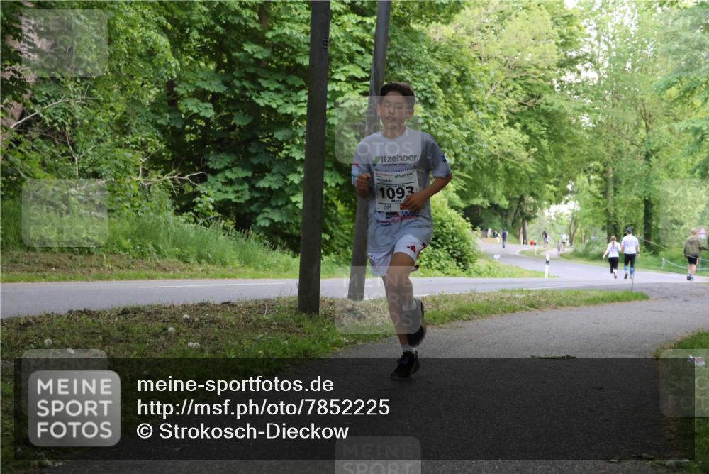 17.05.2025 - Störlauf Strokosch-Dieckow http://msf.ph/oto/7852225 17.05.2025 14:36:25 Laufen 1093 meine-sportfotos.de