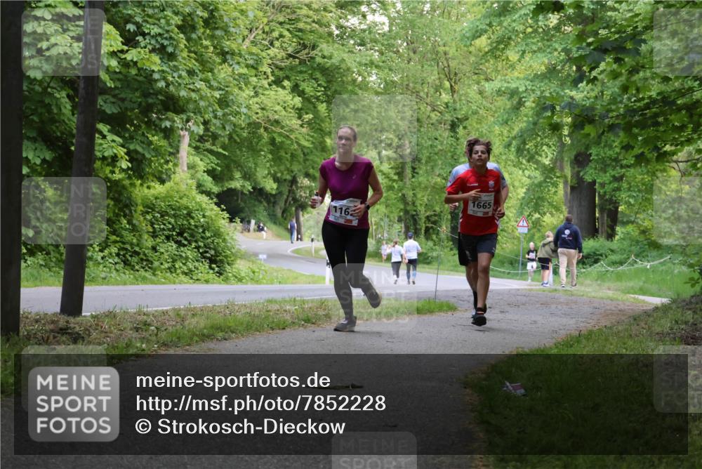 17.05.2025 - Störlauf Strokosch-Dieckow http://msf.ph/oto/7852228 17.05.2025 14:36:32 Laufen 1665, 116 meine-sportfotos.de