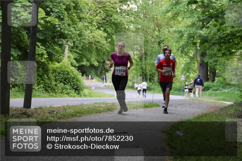 17.05.2025 - Störlauf Strokosch-Dieckow http://msf.ph/oto/7852230 17.05.2025 14:36:32 Laufen 565, 1162 meine-sportfotos.de