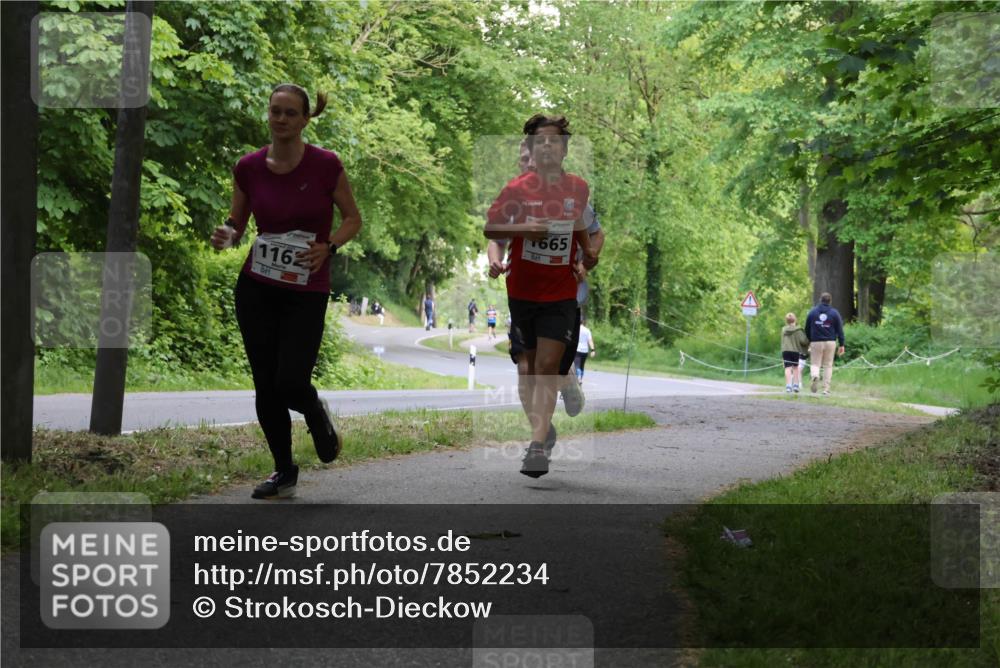 17.05.2025 - Störlauf Strokosch-Dieckow http://msf.ph/oto/7852234 17.05.2025 14:36:34 Laufen 1162, 665 meine-sportfotos.de