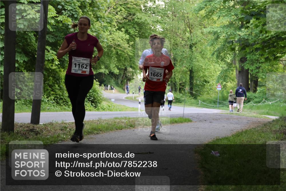 17.05.2025 - Störlauf Strokosch-Dieckow http://msf.ph/oto/7852238 17.05.2025 14:36:34 Laufen 1162, 1665 meine-sportfotos.de