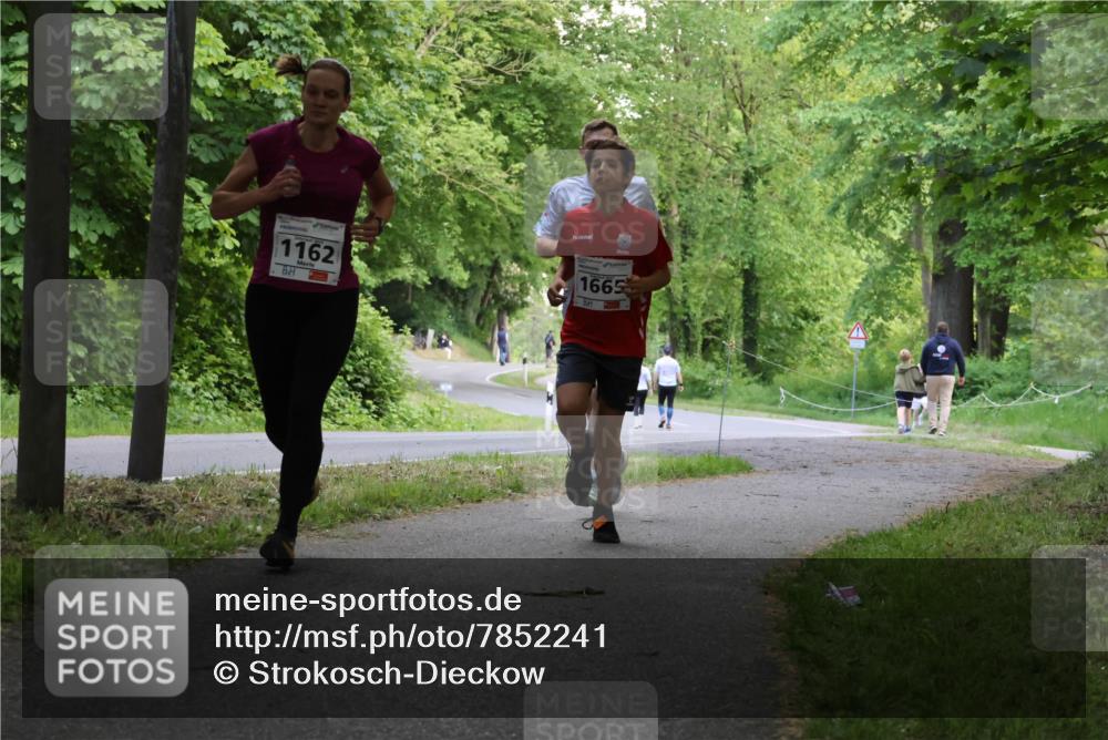 17.05.2025 - Störlauf Strokosch-Dieckow http://msf.ph/oto/7852241 17.05.2025 14:36:34 Laufen 1162, 1665 meine-sportfotos.de