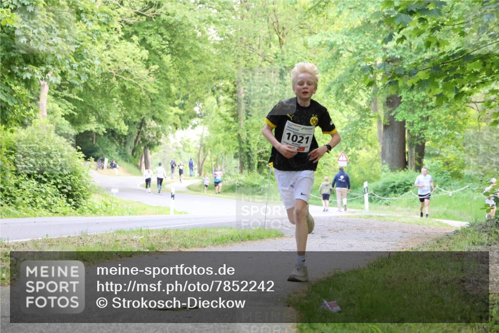 17.05.2025 - Störlauf Strokosch-Dieckow http://msf.ph/oto/7852242 17.05.2025 14:36:52 Laufen 1021 meine-sportfotos.de