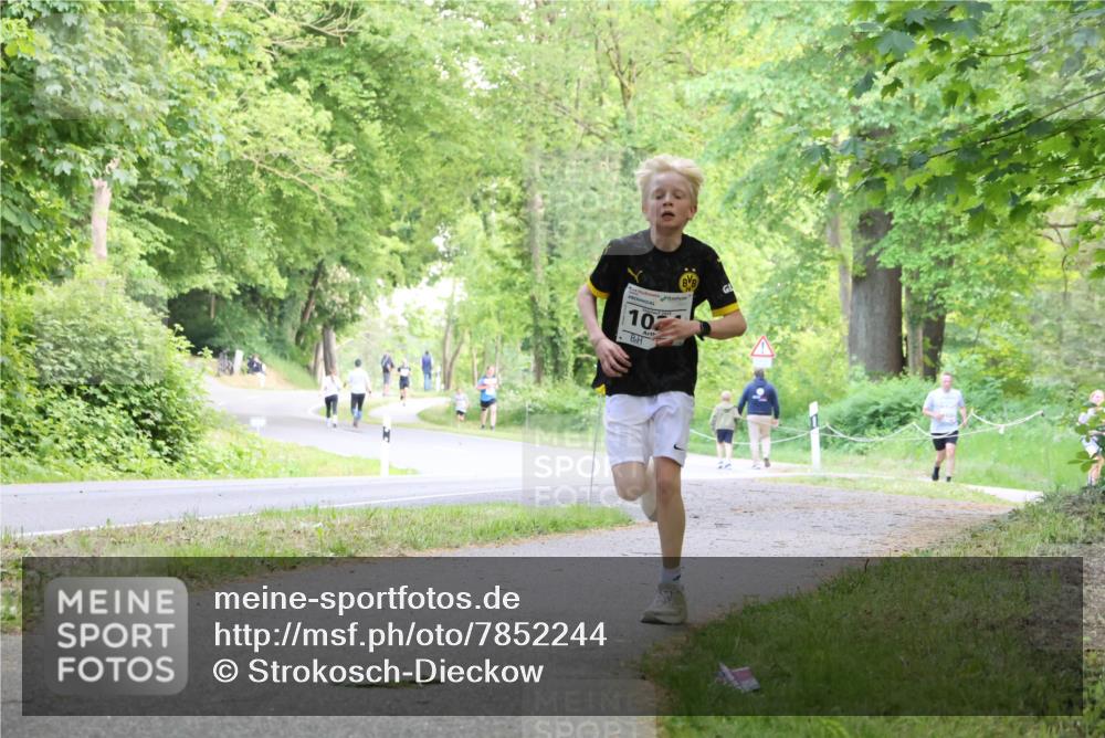 17.05.2025 - Störlauf Strokosch-Dieckow http://msf.ph/oto/7852244 17.05.2025 14:36:52 Laufen 10 meine-sportfotos.de
