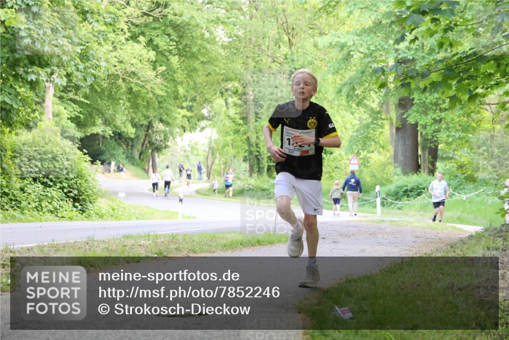17.05.2025 - Störlauf Strokosch-Dieckow http://msf.ph/oto/7852246 17.05.2025 14:36:52 Laufen  meine-sportfotos.de