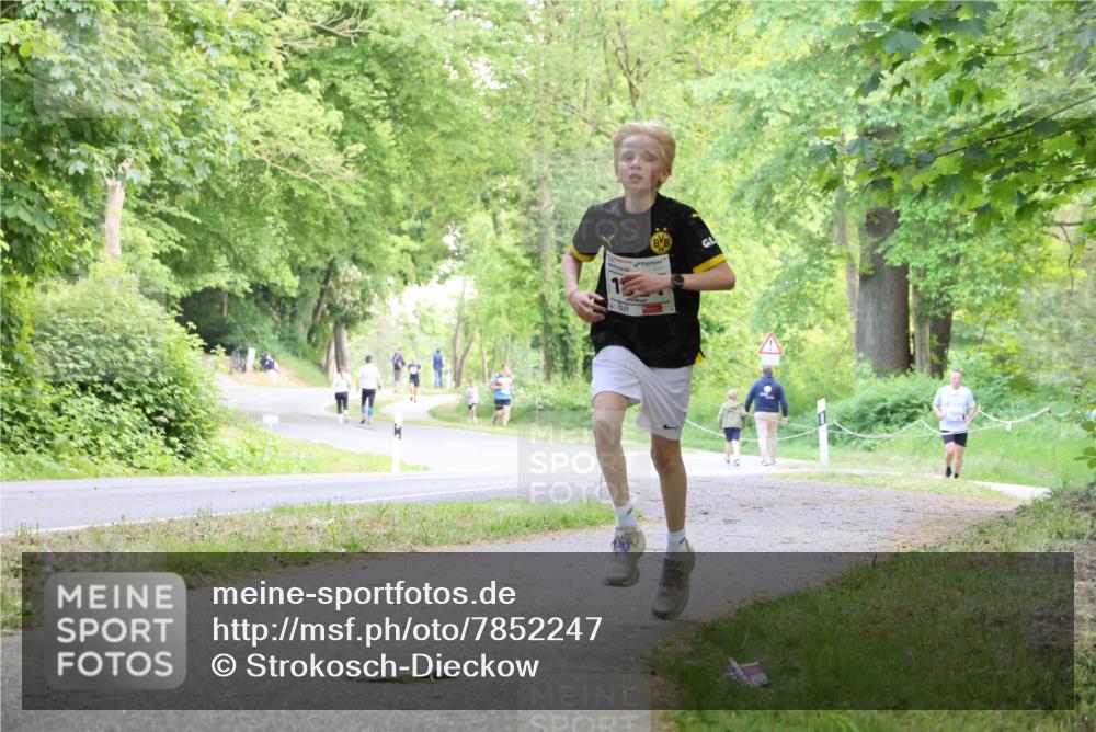 17.05.2025 - Störlauf Strokosch-Dieckow http://msf.ph/oto/7852247 17.05.2025 14:36:52 Laufen  meine-sportfotos.de