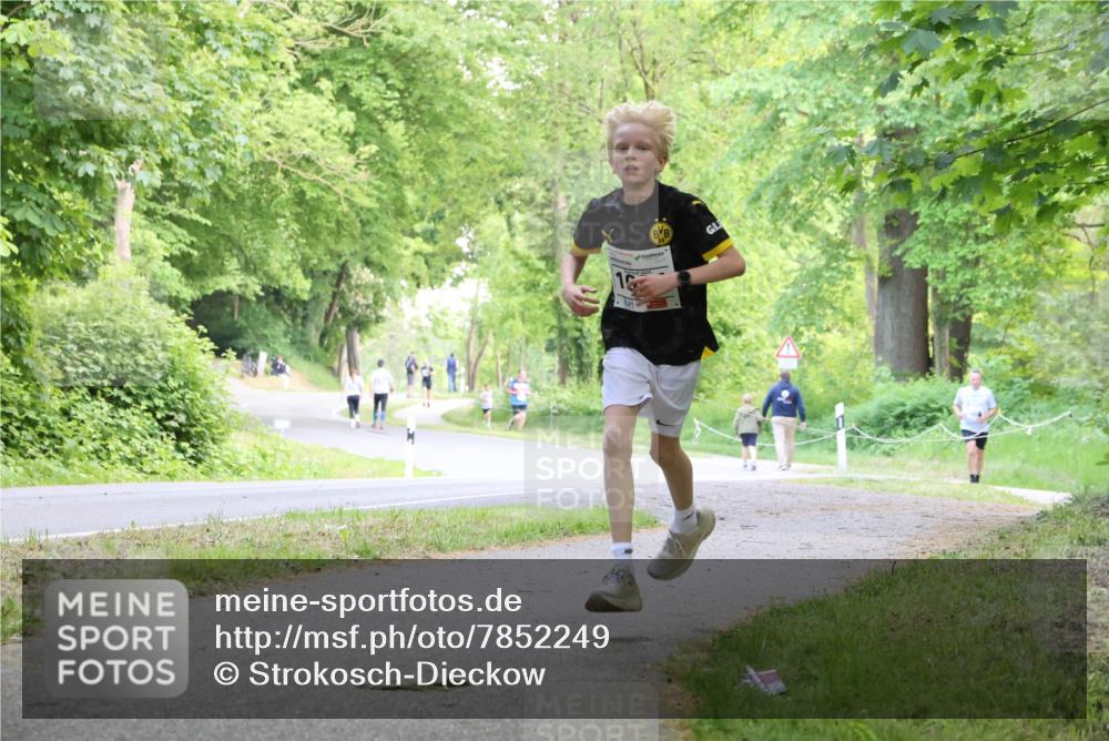 17.05.2025 - Störlauf Strokosch-Dieckow http://msf.ph/oto/7852249 17.05.2025 14:36:52 Laufen 12, 2025 meine-sportfotos.de