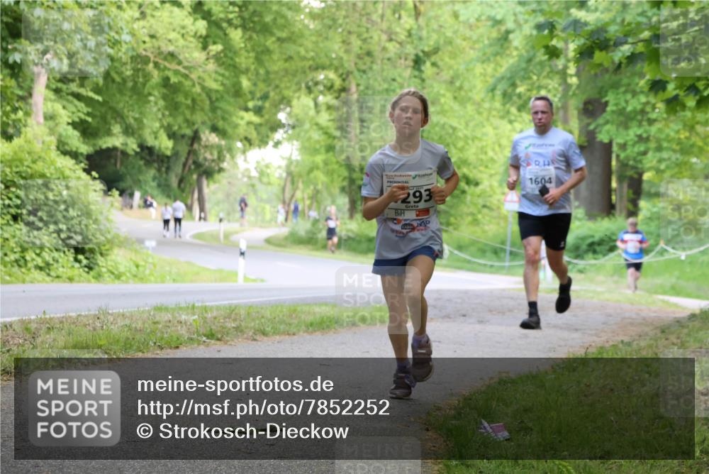 17.05.2025 - Störlauf Strokosch-Dieckow http://msf.ph/oto/7852252 17.05.2025 14:37:04 Laufen 2025, 293, 1604 meine-sportfotos.de