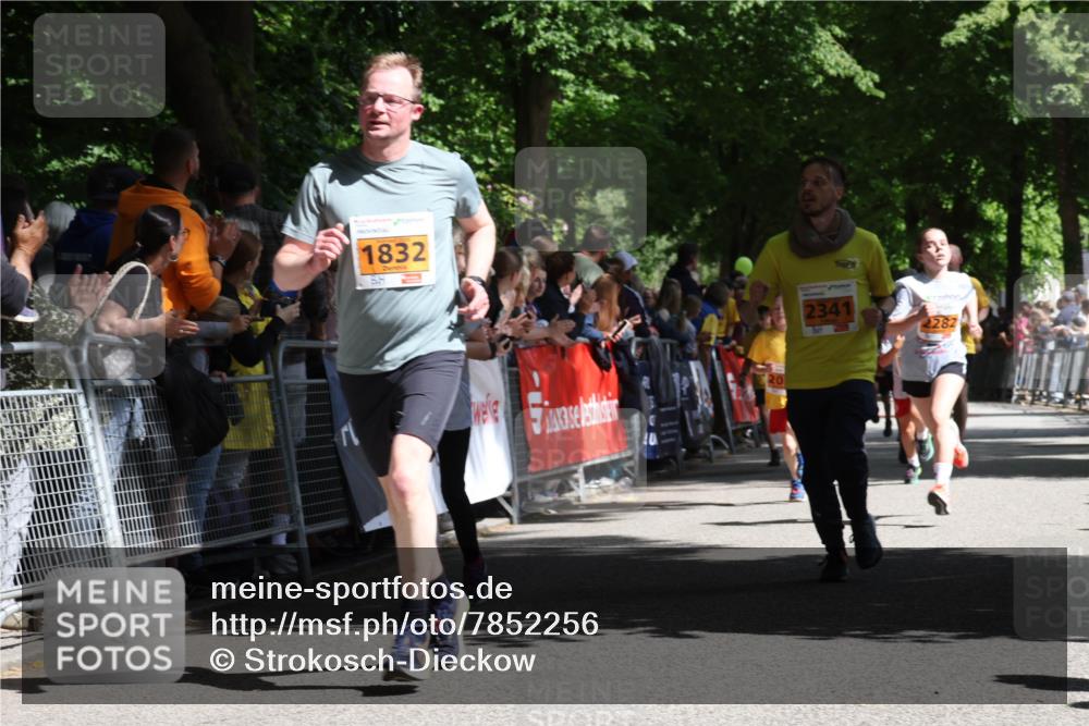 17.05.2025 - Störlauf Strokosch-Dieckow http://msf.ph/oto/7852256 17.05.2025 15:28:34 Ziel 1832, 20, 2341, 2282 meine-sportfotos.de
