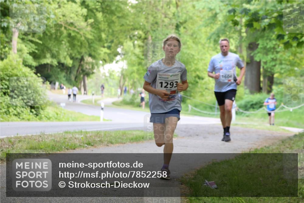 17.05.2025 - Störlauf Strokosch-Dieckow http://msf.ph/oto/7852258 17.05.2025 14:37:04 Laufen 1293, 1604 meine-sportfotos.de