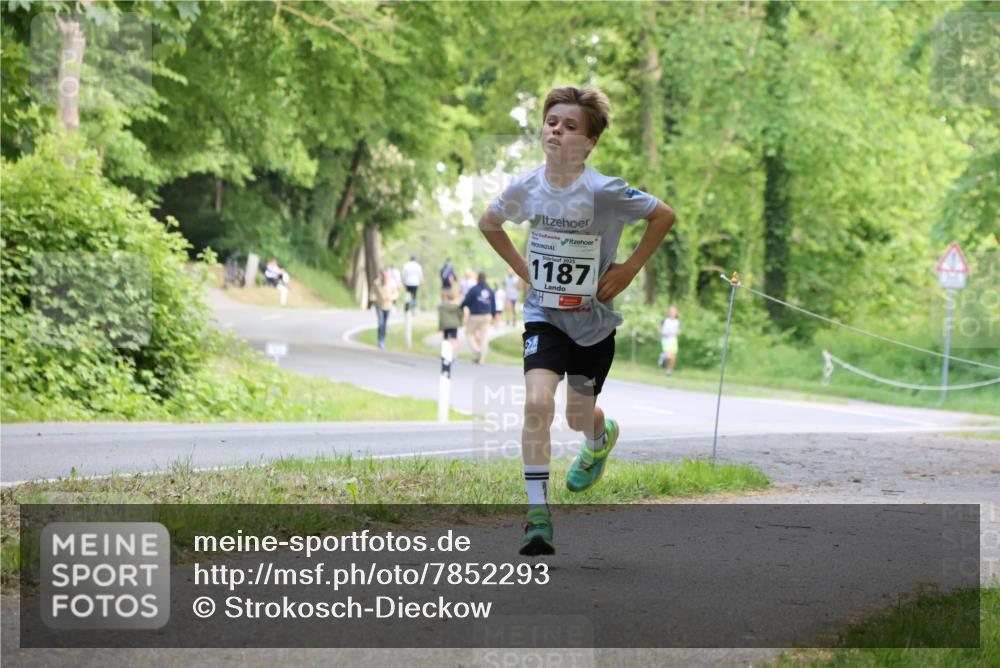 17.05.2025 - Störlauf Strokosch-Dieckow http://msf.ph/oto/7852293 17.05.2025 14:37:23 Laufen 2025, 1187 meine-sportfotos.de