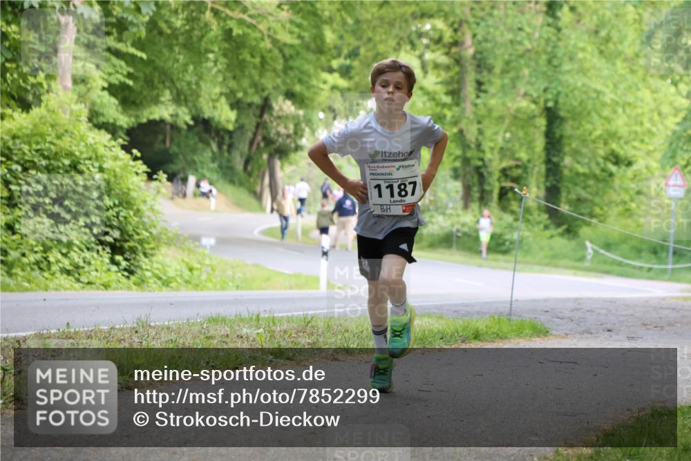 17.05.2025 - Störlauf Strokosch-Dieckow http://msf.ph/oto/7852299 17.05.2025 14:37:23 Laufen 2025, 1187 meine-sportfotos.de