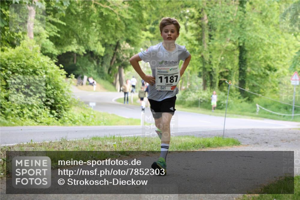 17.05.2025 - Störlauf Strokosch-Dieckow http://msf.ph/oto/7852303 17.05.2025 14:37:23 Laufen 2025, 1187 meine-sportfotos.de