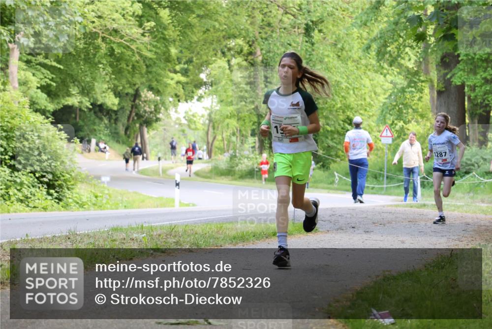 17.05.2025 - Störlauf Strokosch-Dieckow http://msf.ph/oto/7852326 17.05.2025 14:37:51 Laufen 13, 1287 meine-sportfotos.de