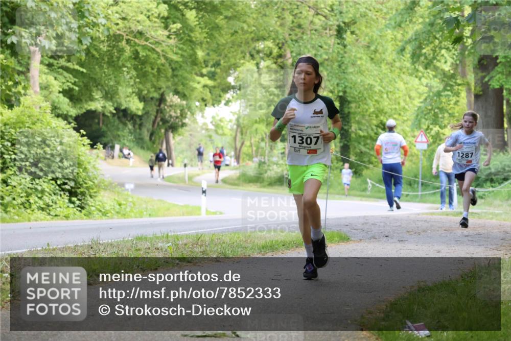 17.05.2025 - Störlauf Strokosch-Dieckow http://msf.ph/oto/7852333 17.05.2025 14:37:51 Laufen 1307, 1287 meine-sportfotos.de