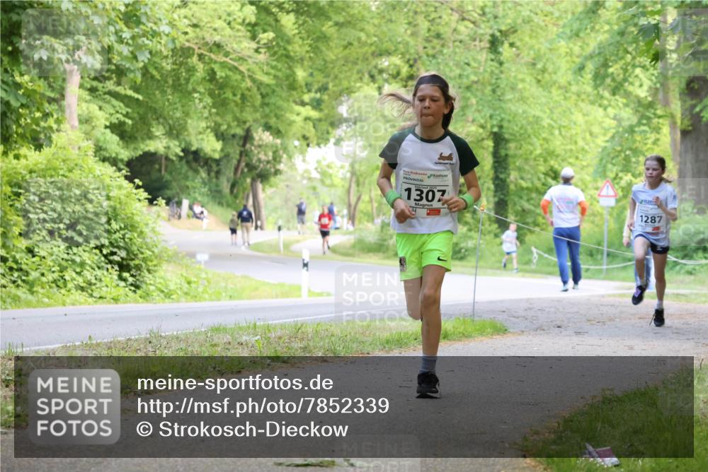 17.05.2025 - Störlauf Strokosch-Dieckow http://msf.ph/oto/7852339 17.05.2025 14:37:51 Laufen 1307, 1287 meine-sportfotos.de