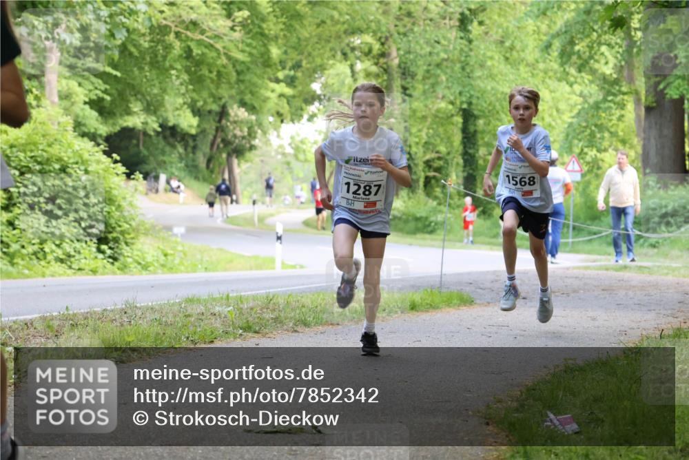 17.05.2025 - Störlauf Strokosch-Dieckow http://msf.ph/oto/7852342 17.05.2025 14:37:53 Laufen 1287, 1568 meine-sportfotos.de