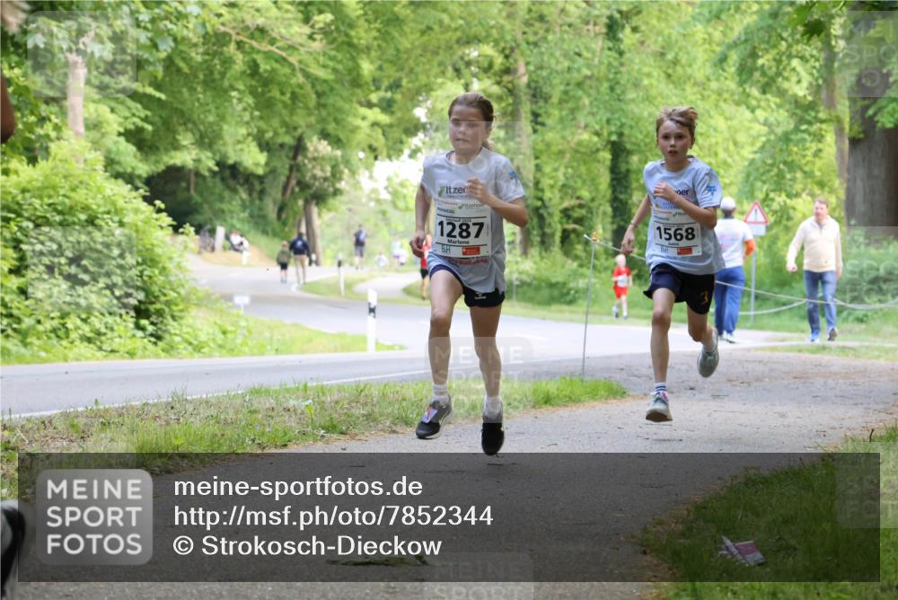 17.05.2025 - Störlauf Strokosch-Dieckow http://msf.ph/oto/7852344 17.05.2025 14:37:53 Laufen 1287, 1568 meine-sportfotos.de