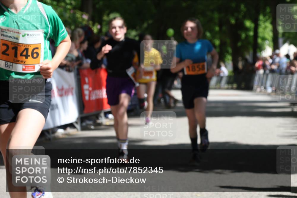 17.05.2025 - Störlauf Strokosch-Dieckow http://msf.ph/oto/7852345 17.05.2025 15:29:03 Ziel 2025, 2146, 1858 meine-sportfotos.de