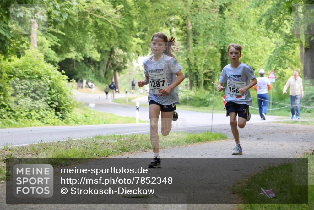 17.05.2025 - Störlauf Strokosch-Dieckow http://msf.ph/oto/7852348 17.05.2025 14:37:54 Laufen 1287, 156, 7 meine-sportfotos.de