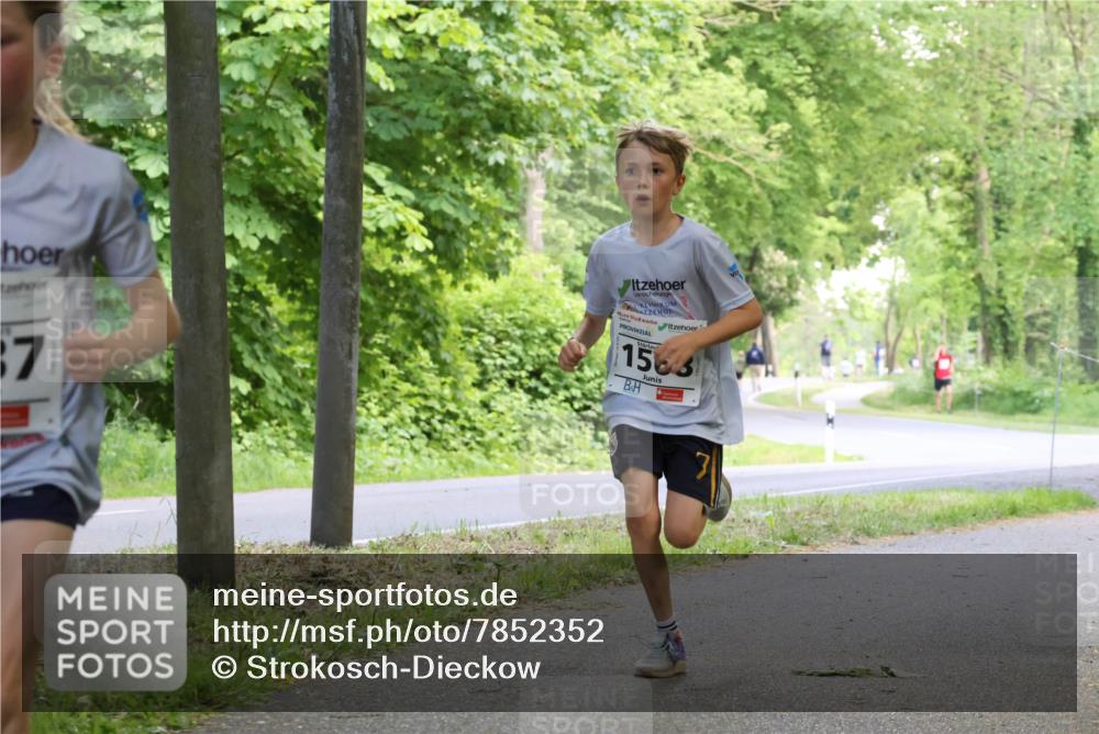 17.05.2025 - Störlauf Strokosch-Dieckow http://msf.ph/oto/7852352 17.05.2025 14:37:56 Laufen 1563, 87 meine-sportfotos.de
