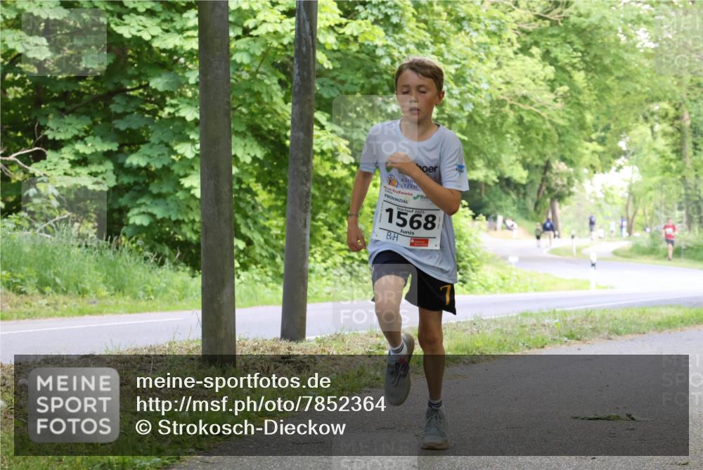 17.05.2025 - Störlauf Strokosch-Dieckow http://msf.ph/oto/7852364 17.05.2025 14:37:56 Laufen 2025, 1568 meine-sportfotos.de
