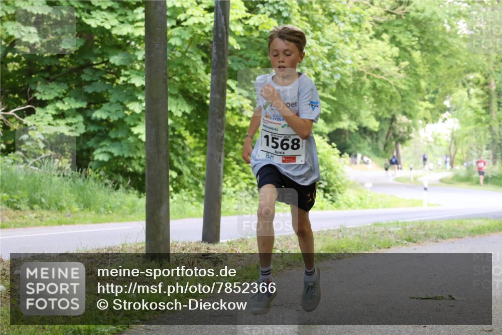 17.05.2025 - Störlauf Strokosch-Dieckow http://msf.ph/oto/7852366 17.05.2025 14:37:56 Laufen 2025, 1568 meine-sportfotos.de