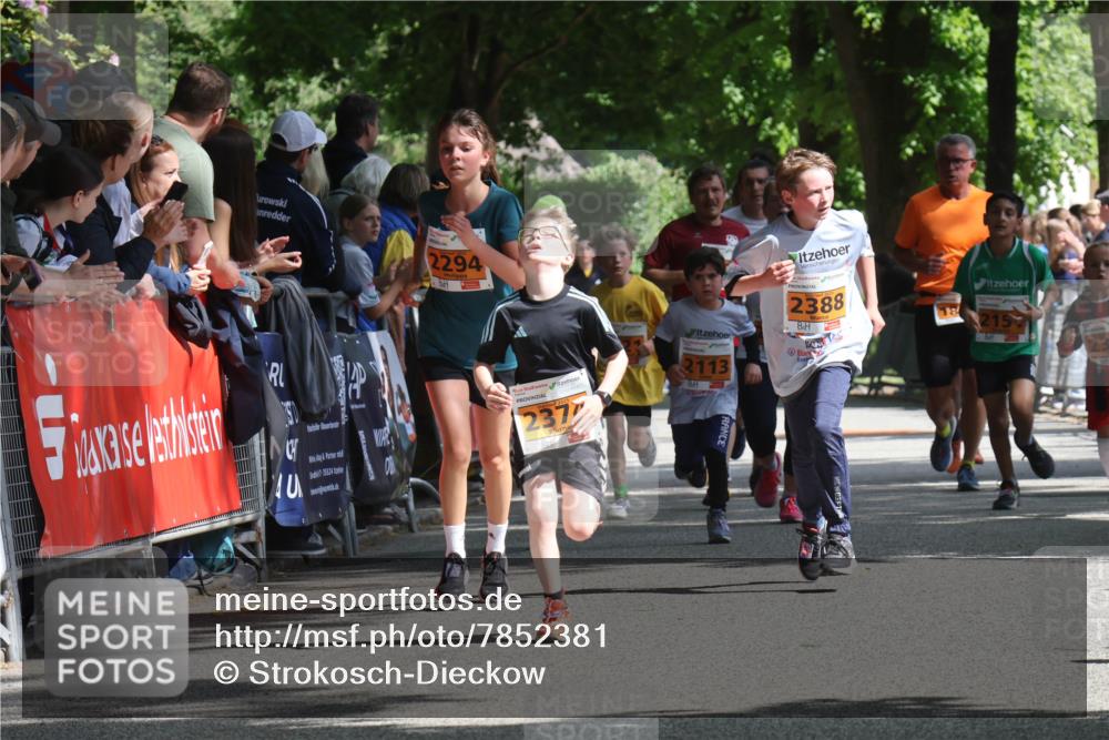 17.05.2025 - Störlauf Strokosch-Dieckow http://msf.ph/oto/7852381 17.05.2025 15:29:37 Ziel 2294, 4, 25524, 237, 2113, 2388, 2157 meine-sportfotos.de