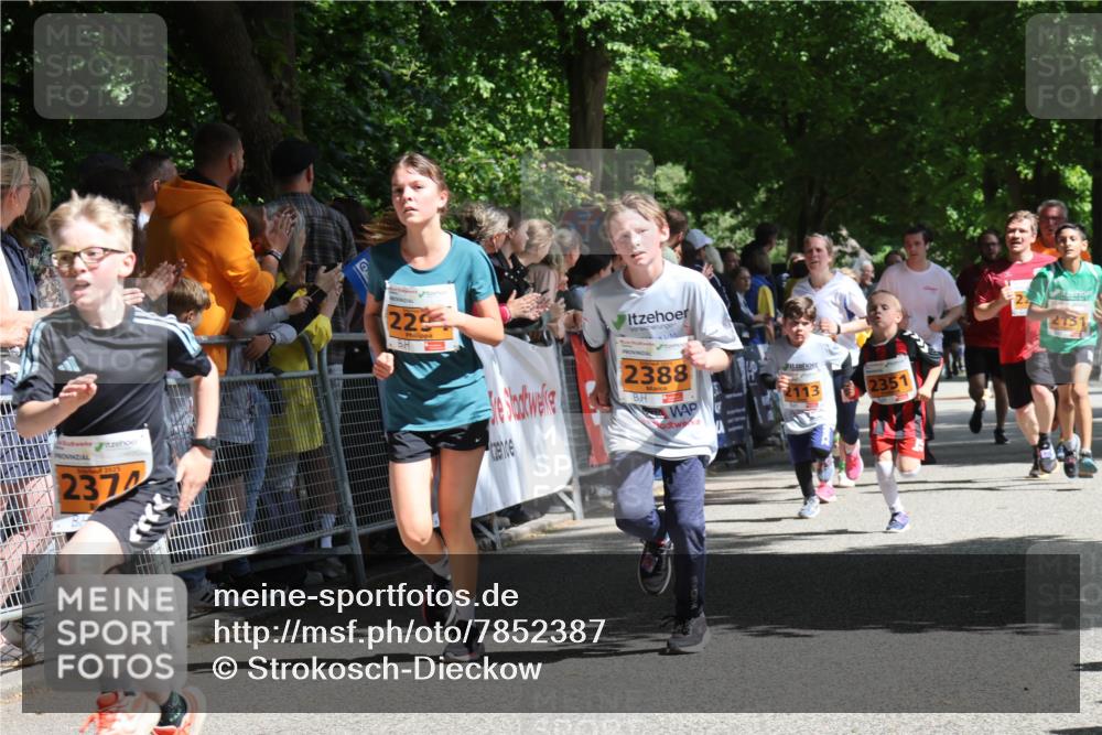 17.05.2025 - Störlauf Strokosch-Dieckow http://msf.ph/oto/7852387 17.05.2025 15:29:40 Ziel 2025, 2374, 229, 2388, 113, 2351 meine-sportfotos.de