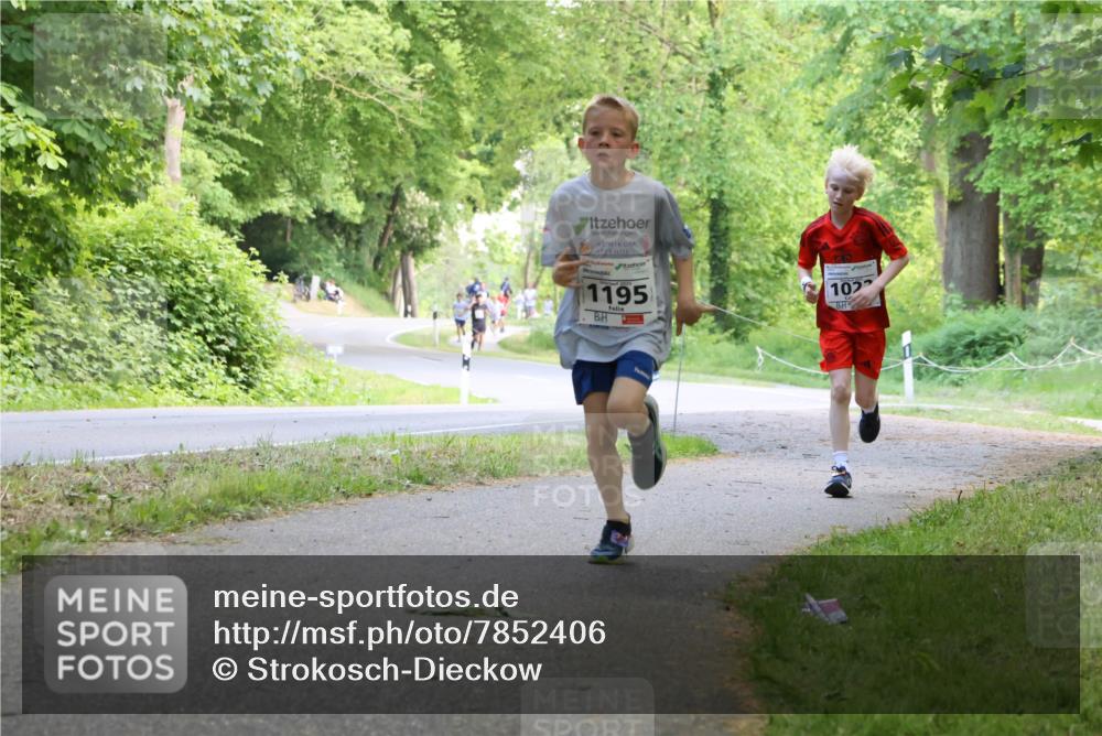 17.05.2025 - Störlauf Strokosch-Dieckow http://msf.ph/oto/7852406 17.05.2025 14:38:17 Laufen 1195, 102 meine-sportfotos.de