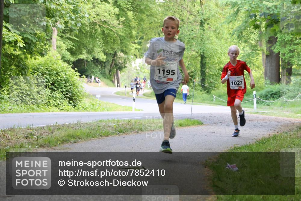 17.05.2025 - Störlauf Strokosch-Dieckow http://msf.ph/oto/7852410 17.05.2025 14:38:17 Laufen 1195, 1022 meine-sportfotos.de