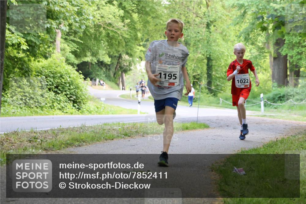 17.05.2025 - Störlauf Strokosch-Dieckow http://msf.ph/oto/7852411 17.05.2025 14:38:17 Laufen 1195, 1022 meine-sportfotos.de