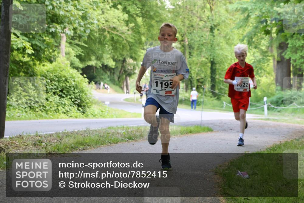 17.05.2025 - Störlauf Strokosch-Dieckow http://msf.ph/oto/7852415 17.05.2025 14:38:17 Laufen 1195, 022 meine-sportfotos.de