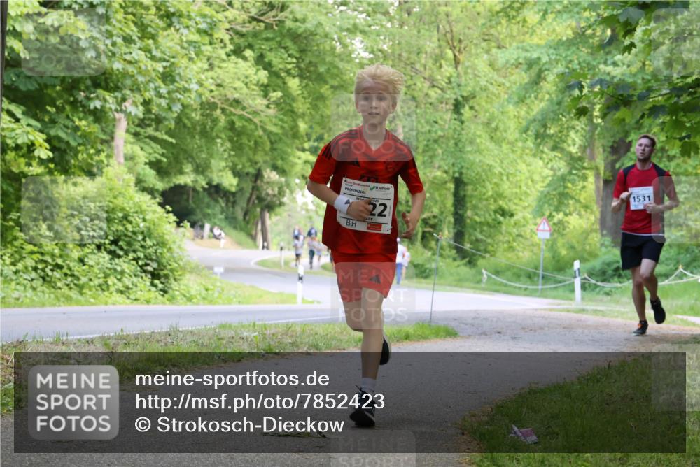 17.05.2025 - Störlauf Strokosch-Dieckow http://msf.ph/oto/7852423 17.05.2025 14:38:19 Laufen 2025, 221, 1531 meine-sportfotos.de